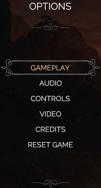 Tight crop of the Options category menu categories
